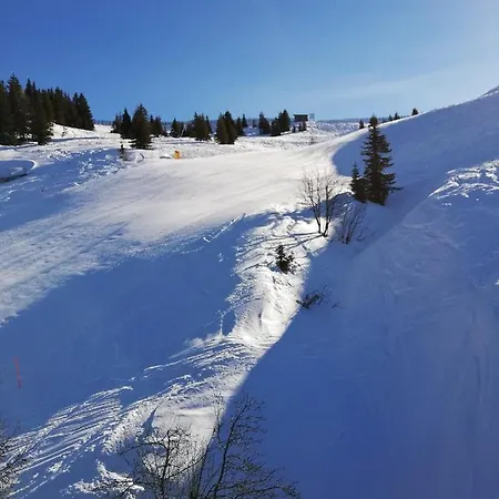 Moser * Alpbach