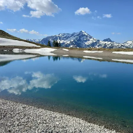 Moser * Alpbach